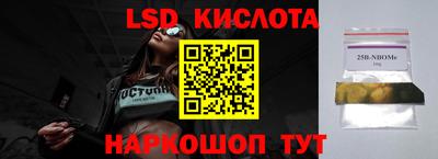 прущий лед Кингисепп