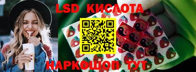 прущий лед Кингисепп