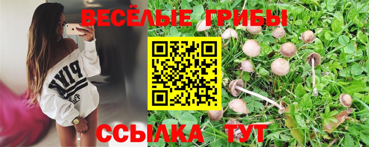 Галлюциногенные грибы Psilocybe  Вход с VPN  Волжск 